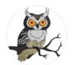 A cartoon of an owl on a branch Description automatically generated