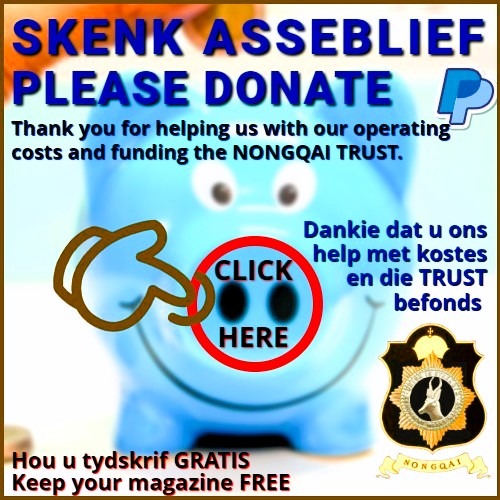 Nongqai Blog donations button PayPal